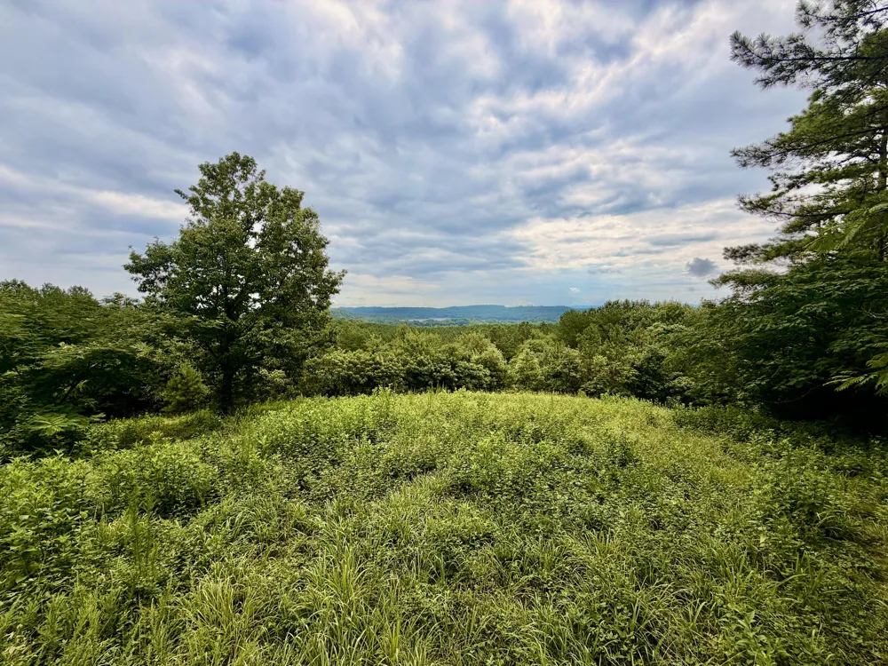 847 Eads Bluff Road NW Georgetown, TN 37336