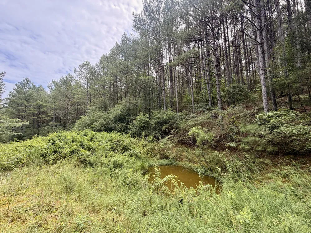 847 Eads Bluff Road NW Georgetown, TN 37336