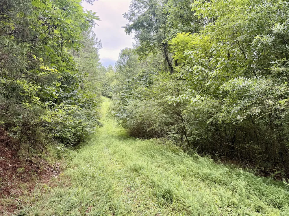 847 Eads Bluff Road NW Georgetown, TN 37336
