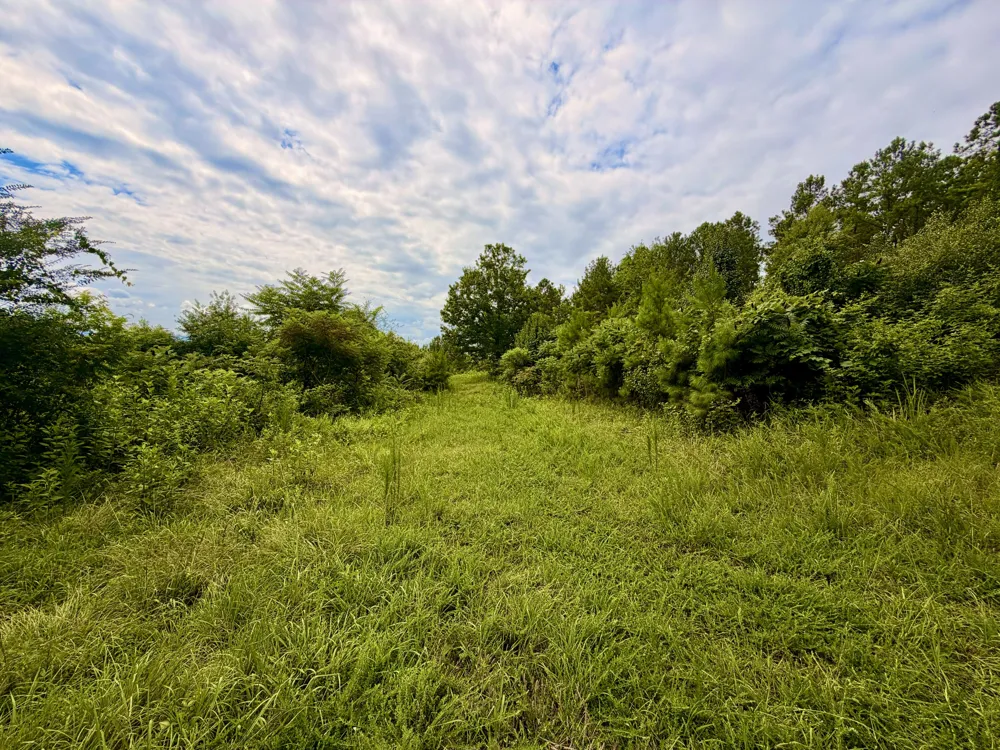 847 Eads Bluff Road NW Georgetown, TN 37336