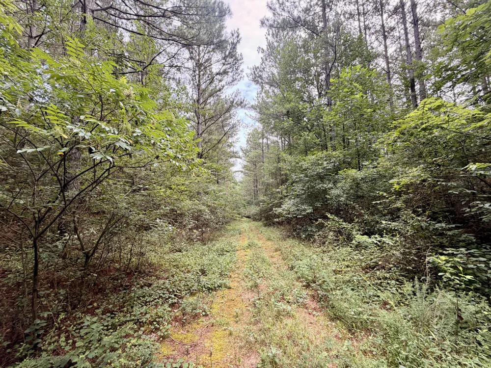 847 Eads Bluff Road NW Georgetown, TN 37336
