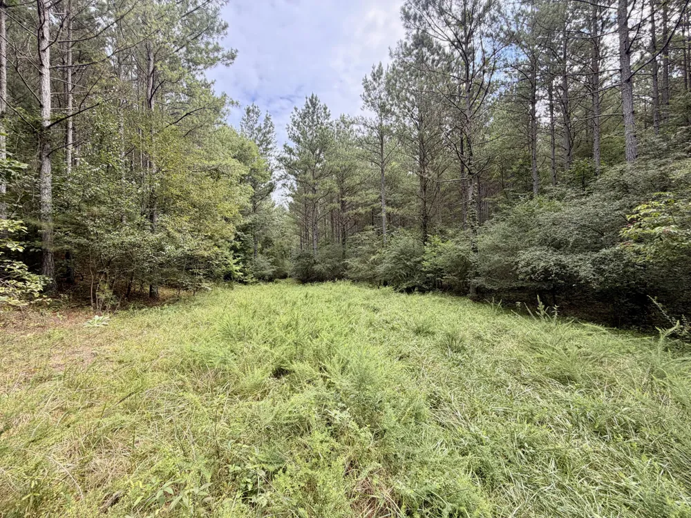 847 Eads Bluff Road NW Georgetown, TN 37336