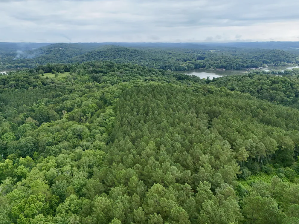847 Eads Bluff Road NW Georgetown, TN 37336