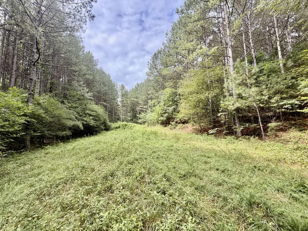 847 Eads Bluff Road NW Georgetown, TN 37336