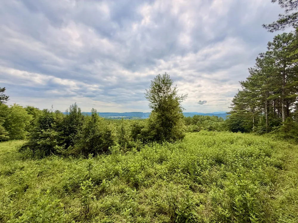 847 Eads Bluff Road NW Georgetown, TN 37336