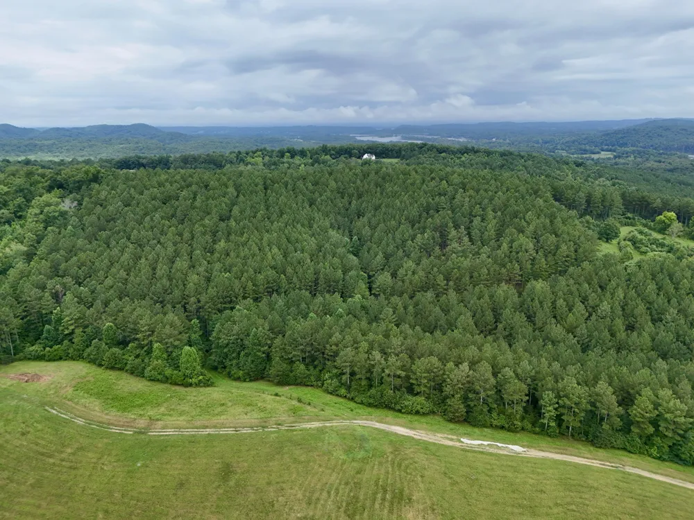847 Eads Bluff Road NW Georgetown, TN 37336