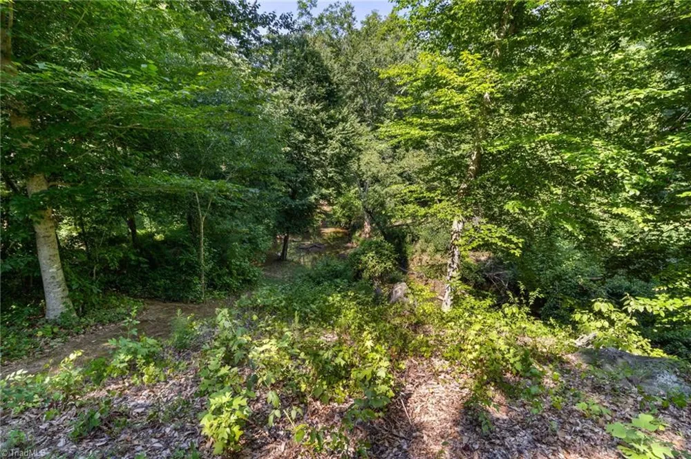 3286 Nc Highway 54 Haw River, NC 27258