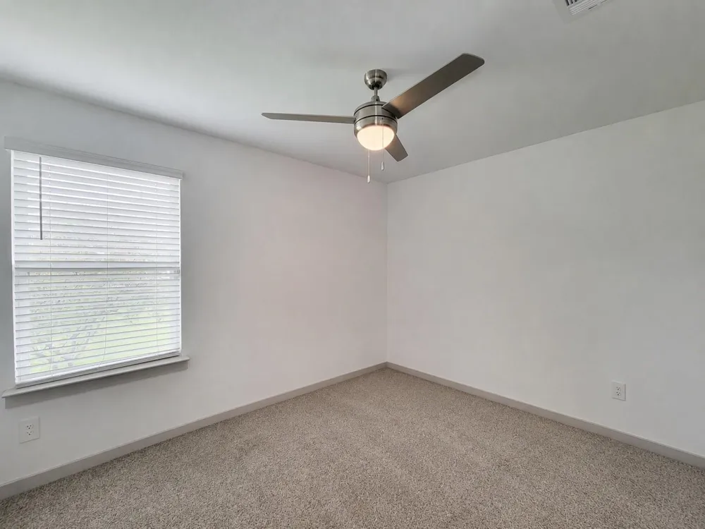 7919 Grey Wolfe Lane Rosharon, TX 77583
