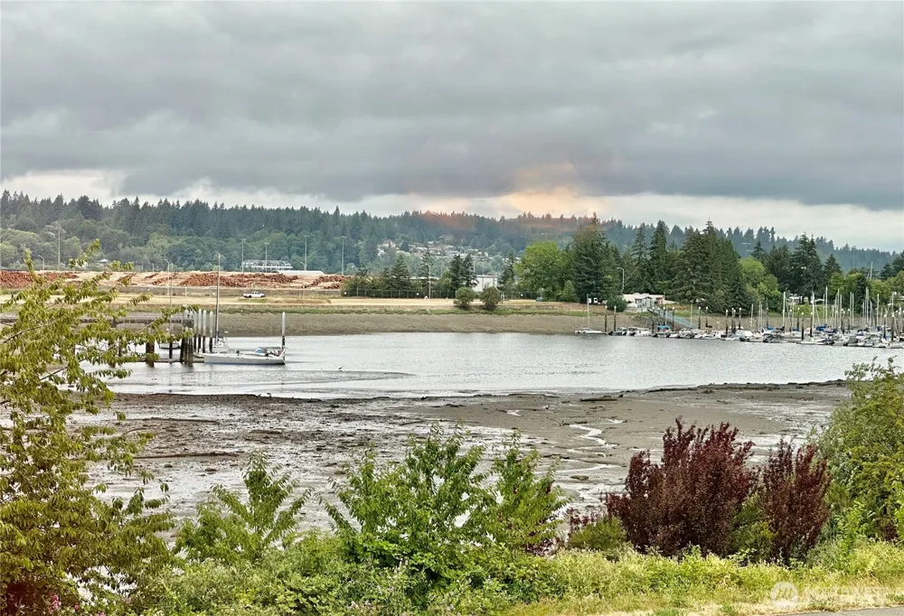900 East Bay Drive NE #A201 Olympia, WA 98506