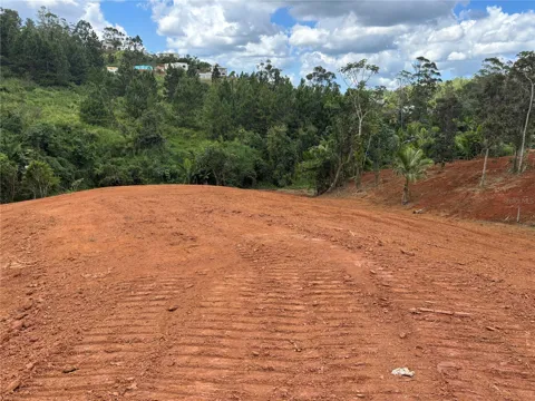 CARR 569 KM 2.7 INT BO. SABANA