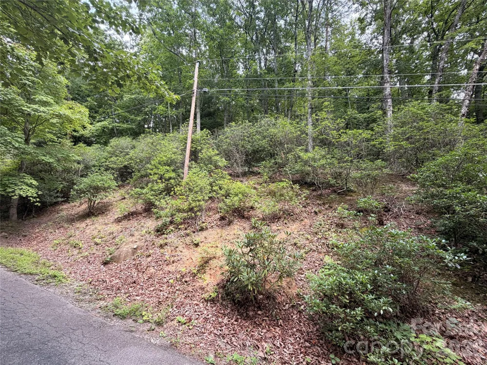 0 Harrison Hill Road #15 Swannanoa, NC 28778