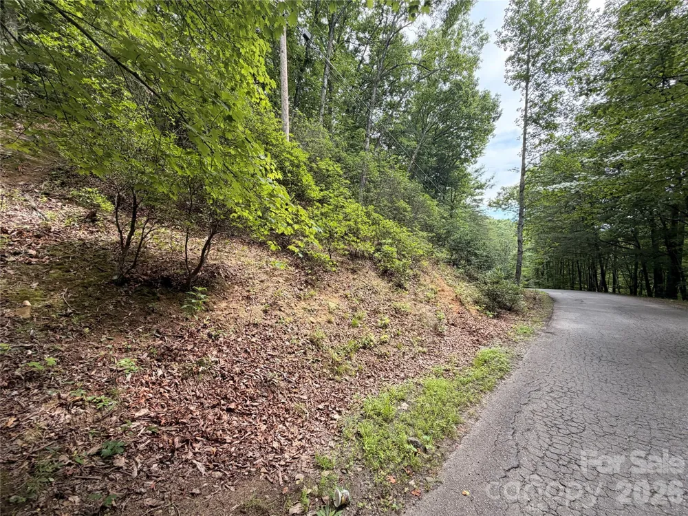 0 Harrison Hill Road #15 Swannanoa, NC 28778