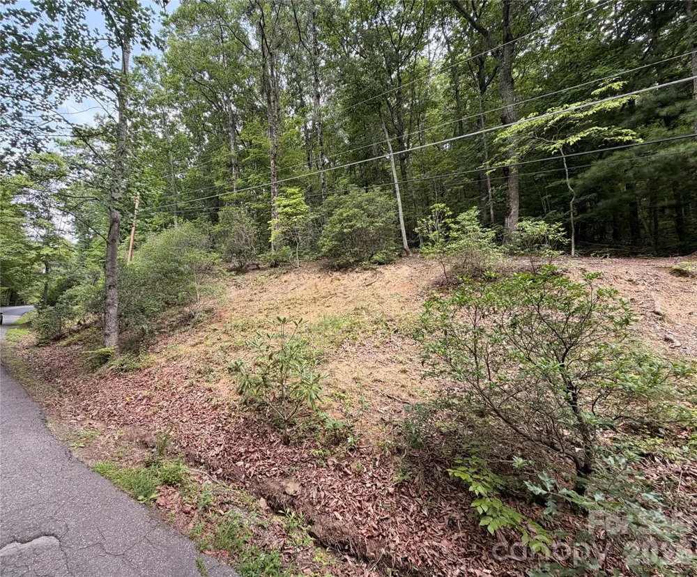 0 Harrison Hill Road #15 Swannanoa, NC 28778
