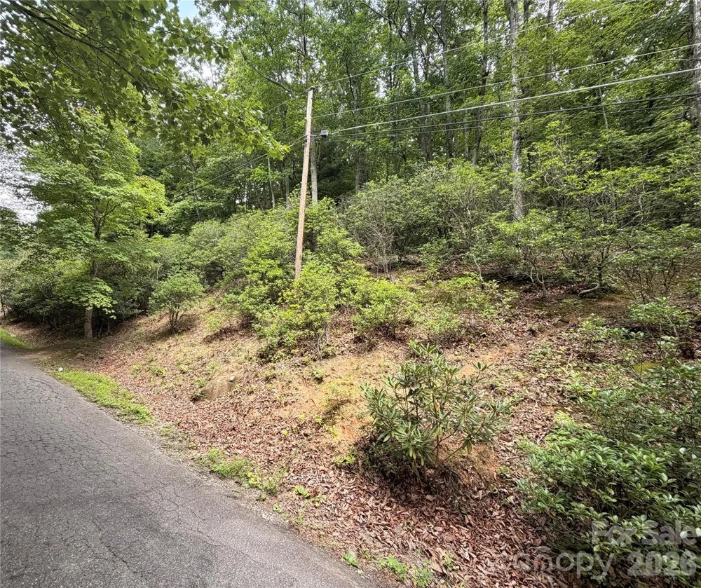0 Harrison Hill Road #15 Swannanoa, NC 28778