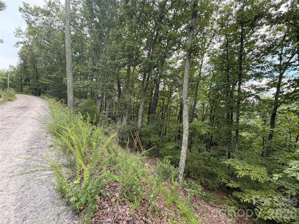 0 Harrison Hill Road #15 Swannanoa, NC 28778