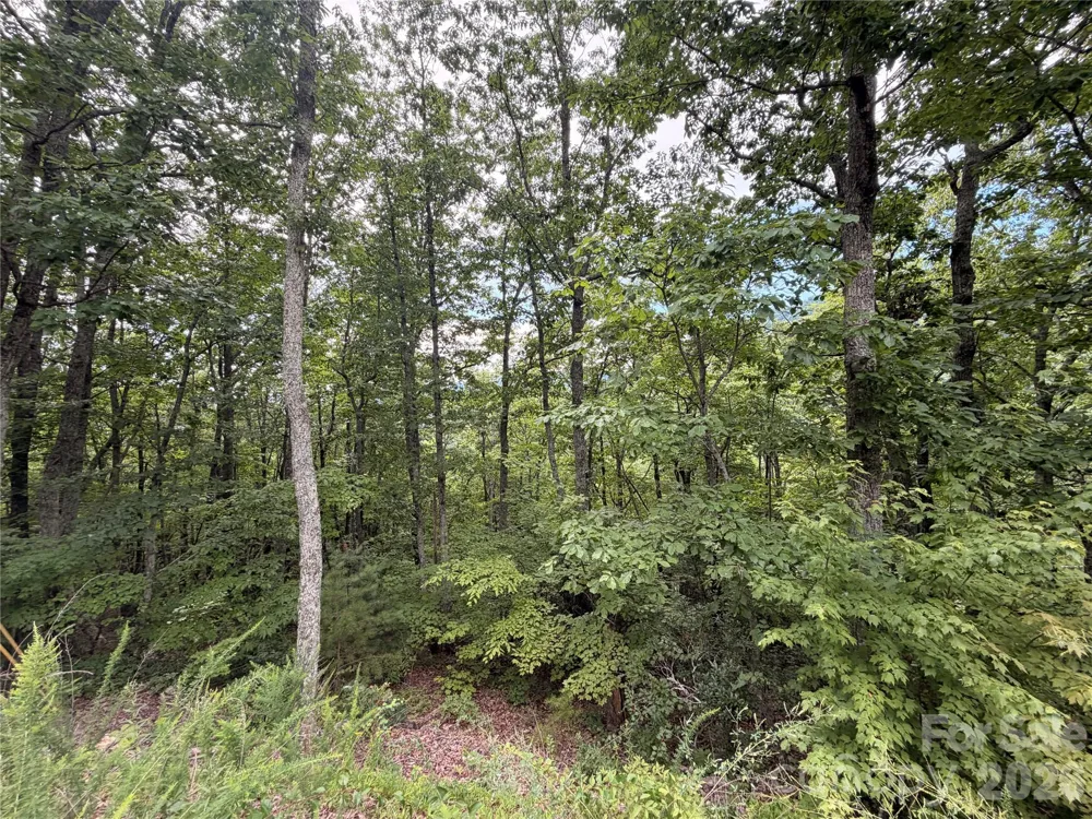 0 Harrison Hill Road #15 Swannanoa, NC 28778
