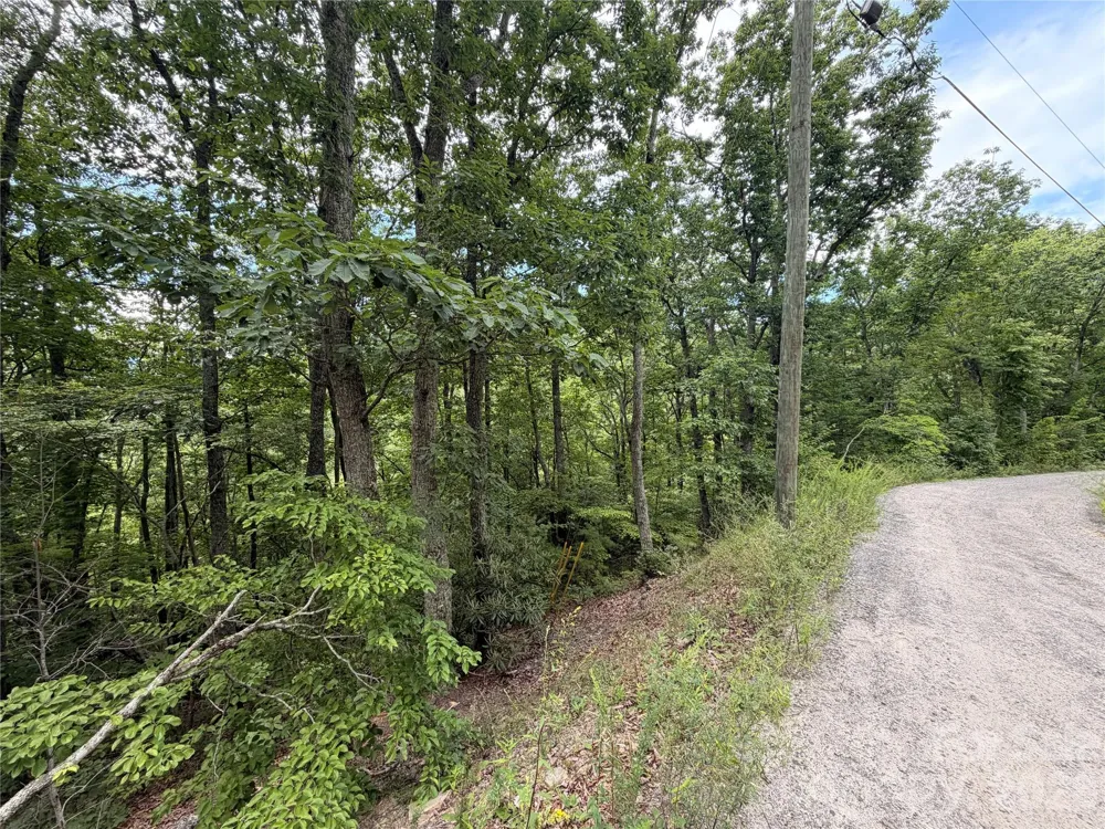 0 Harrison Hill Road #15 Swannanoa, NC 28778