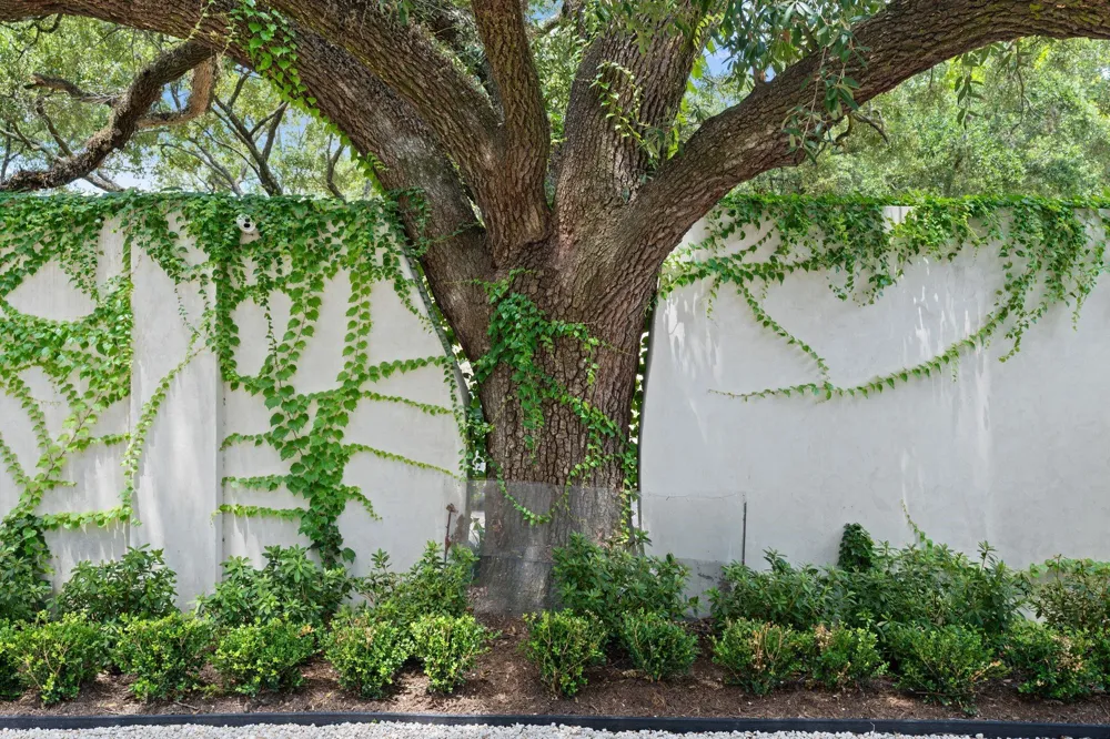 5641 Holly Springs Drive Houston, TX 77056