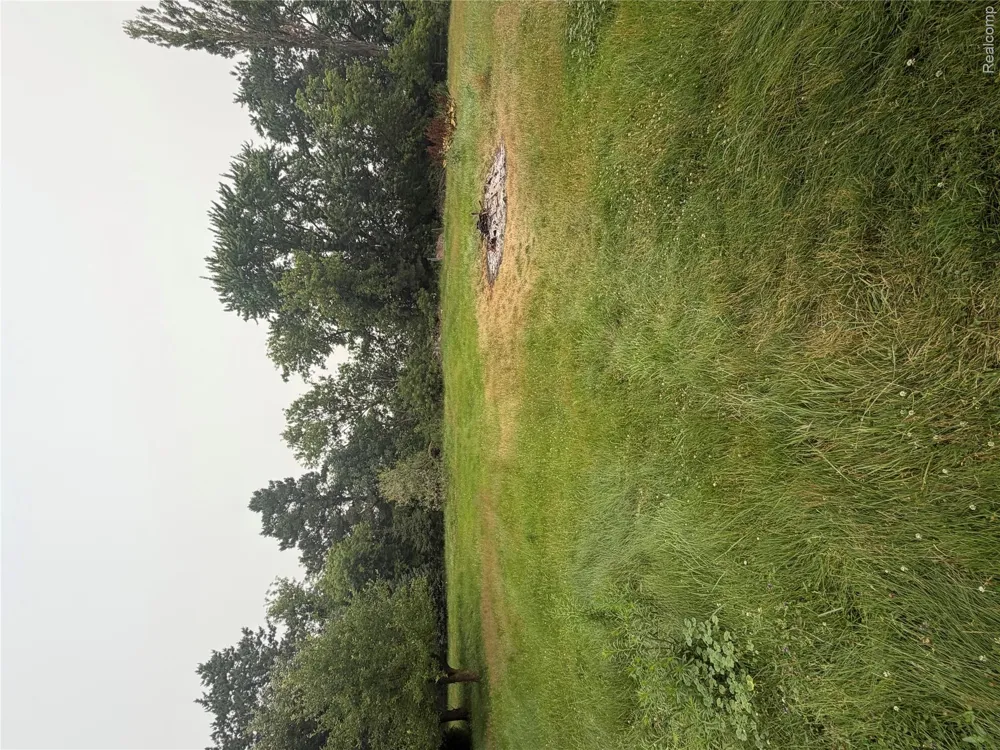 35 E Filion Road Lincoln Township, MI 48432