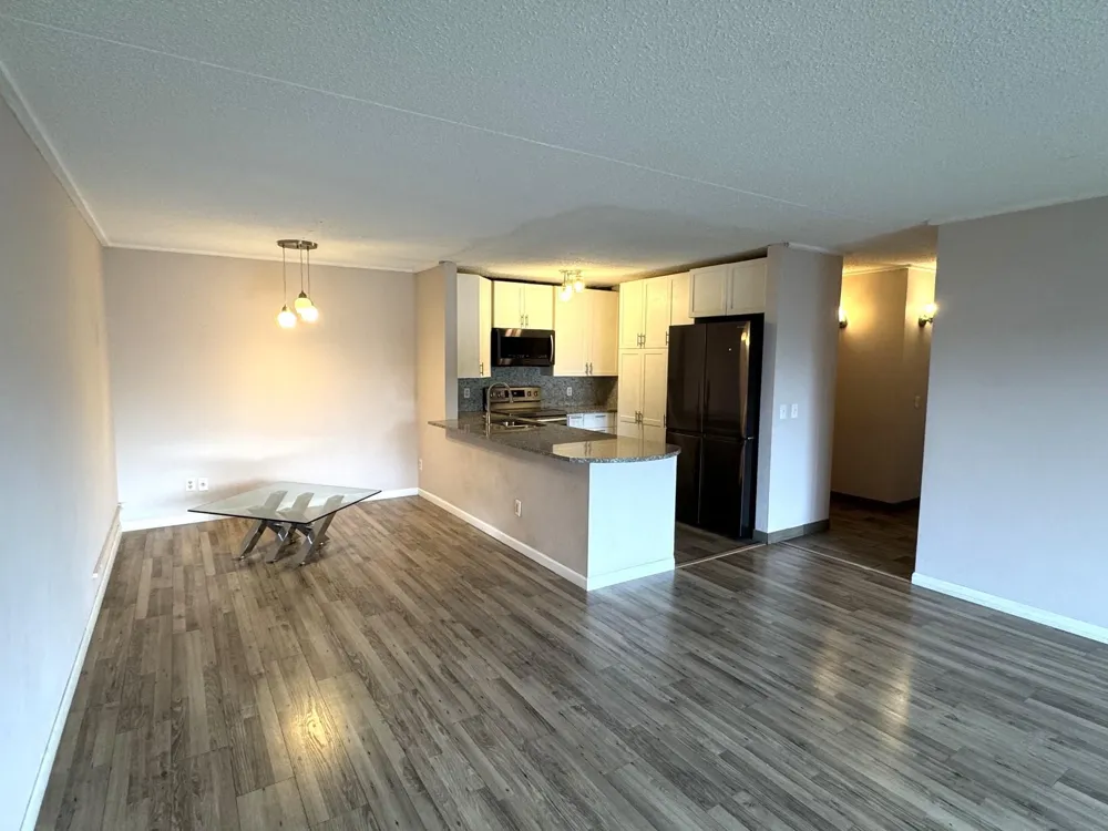 10511 Cedar Lake Road #503 Hopkins, MN 55305