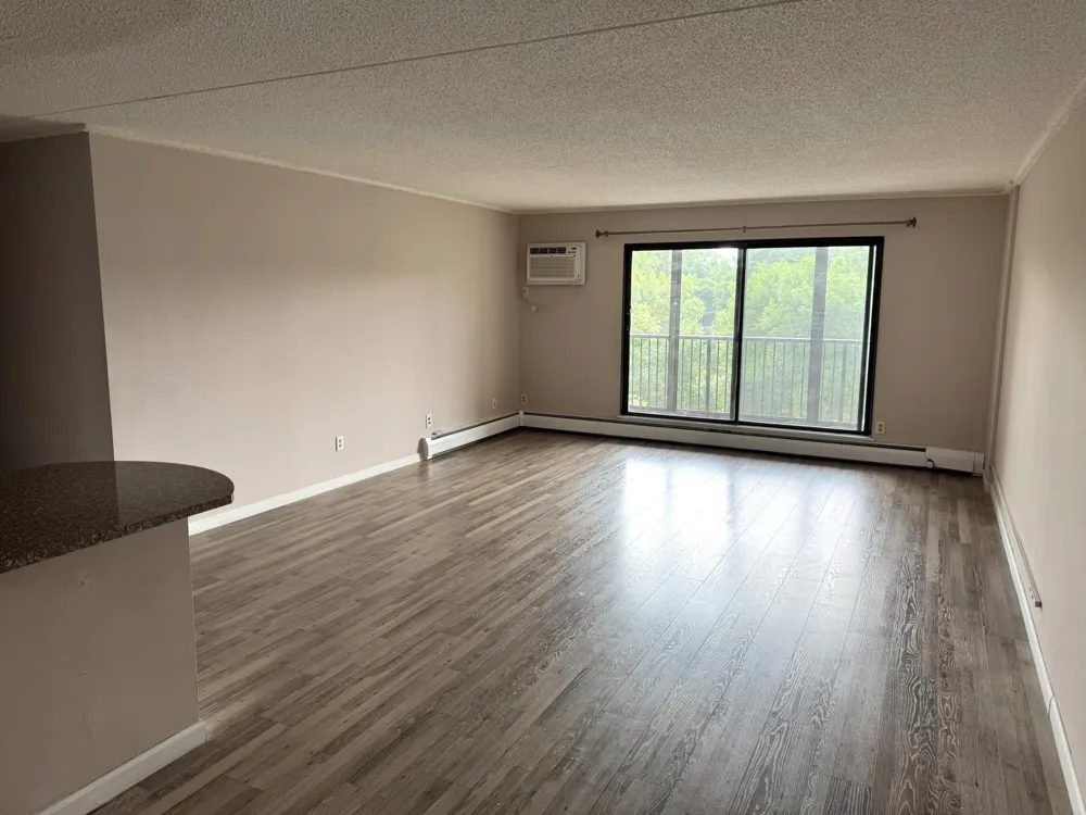 10511 Cedar Lake Road #503 Hopkins, MN 55305
