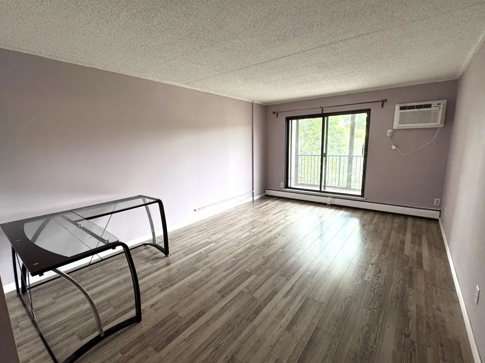 10511 Cedar Lake Road #503 Hopkins, MN 55305