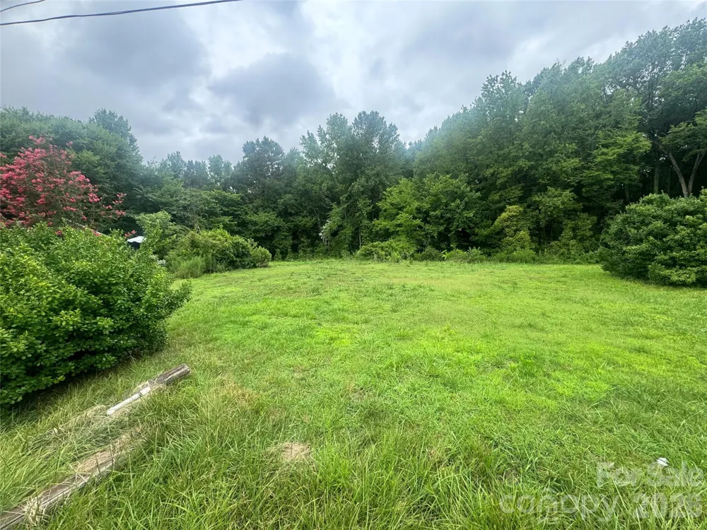 306 West Avenue #B Charlotte, NC 28208