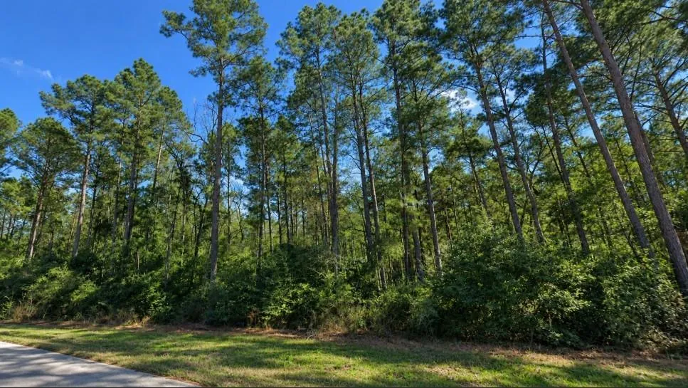5 Feldspar Lane Huntsville, TX 77340