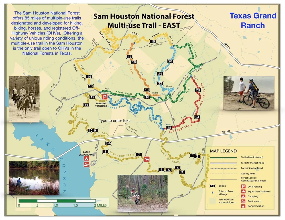 5 Feldspar Lane Huntsville, TX 77340
