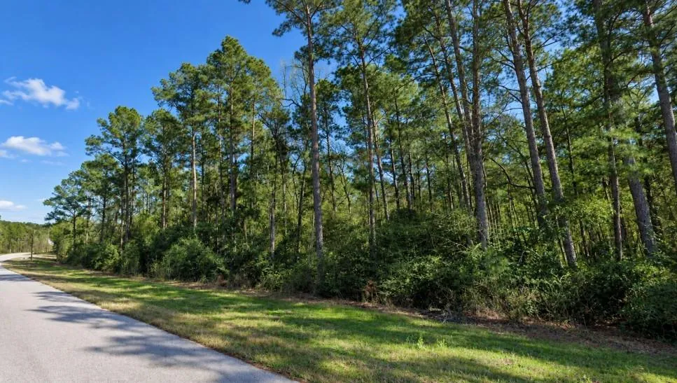 5 Feldspar Lane Huntsville, TX 77340