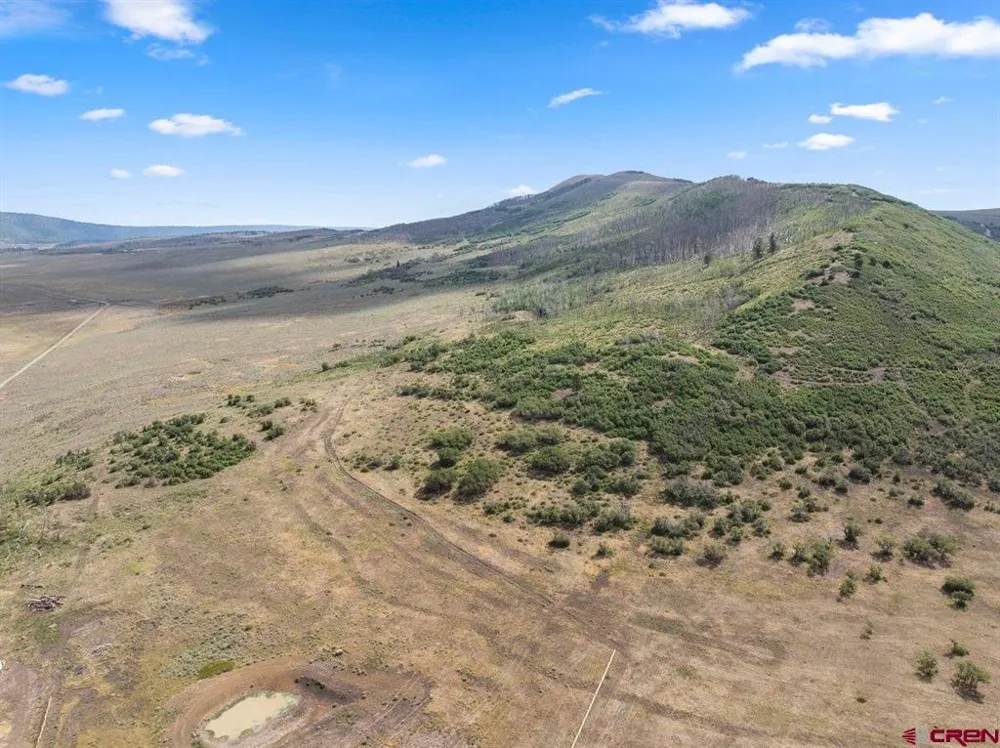 550 County Rd. 62X Placerville, CO 81430