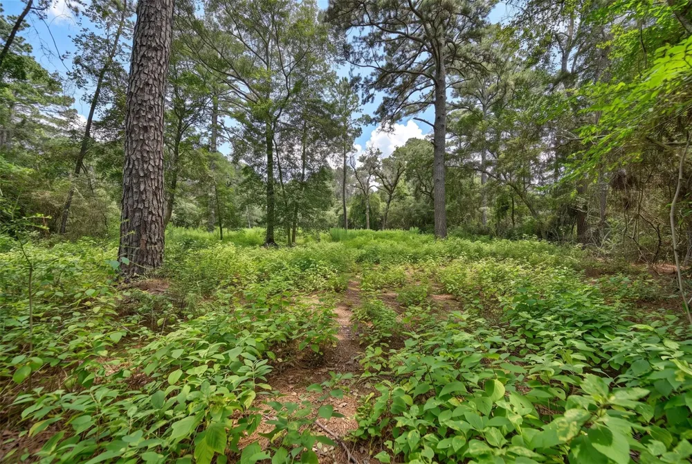 3340 Cr 325 Navasota, TX 77868