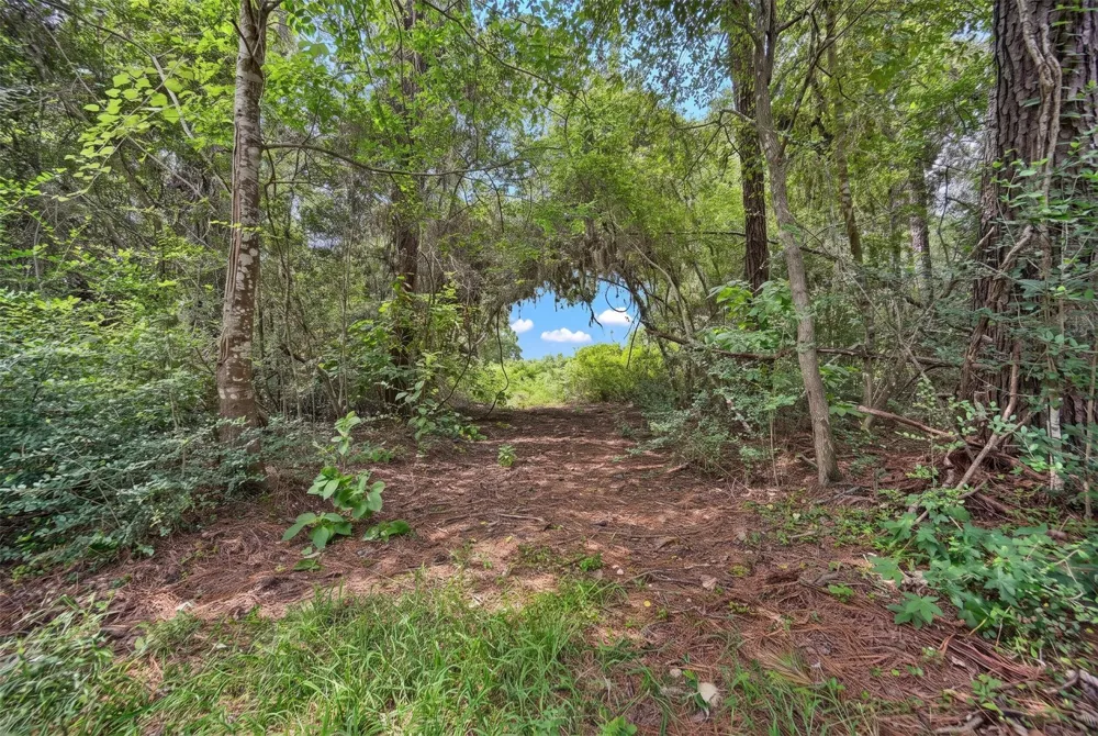 South Section, 3340 Cr 325 Navasota, TX 77868