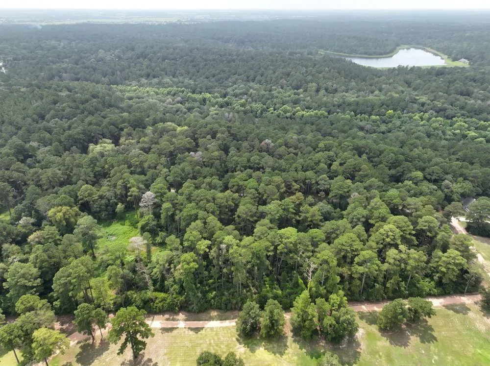 South Section, 3340 Cr 325 Navasota, TX 77868