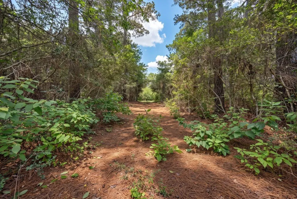 South Section, 3340 Cr 325 Navasota, TX 77868