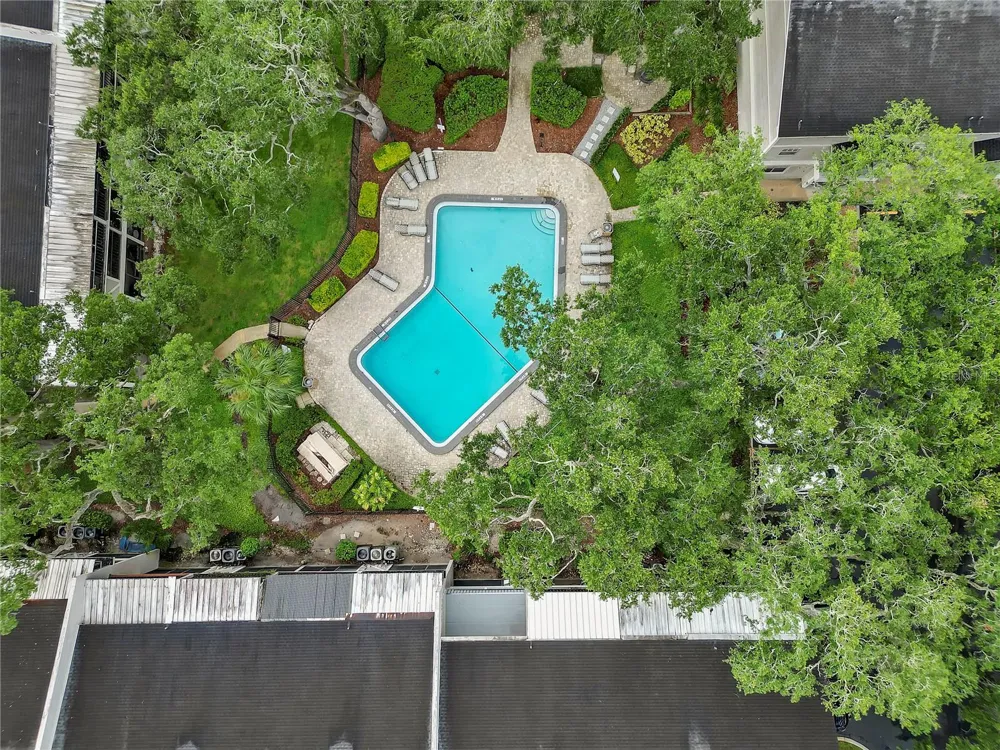 14466 REUTER STRASSE CIRCLE #501 Tampa, FL 33613