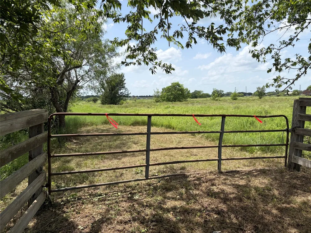 Witte Bellville, TX 77418