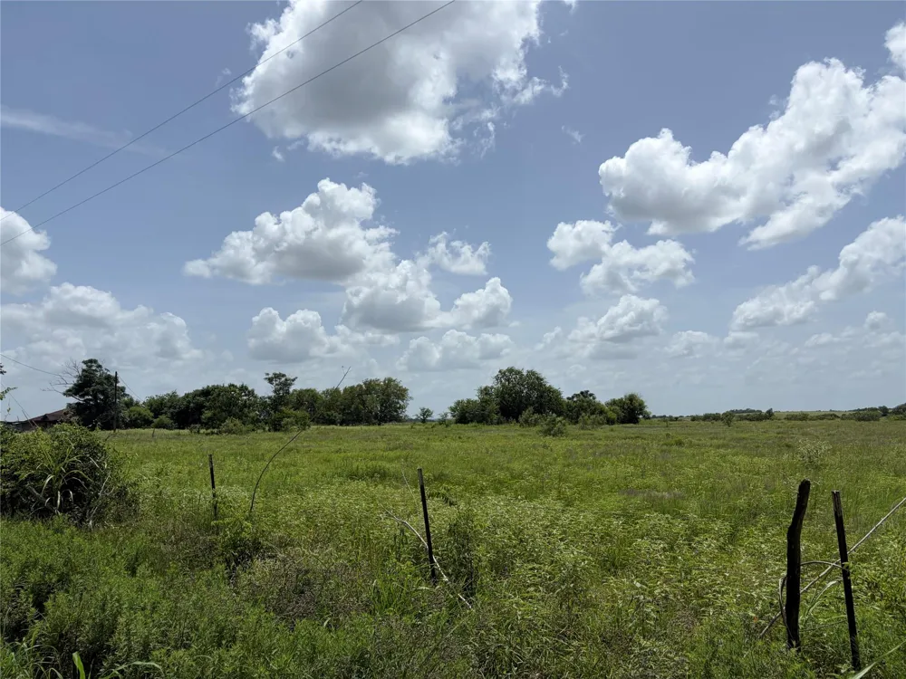 Witte Bellville, TX 77418