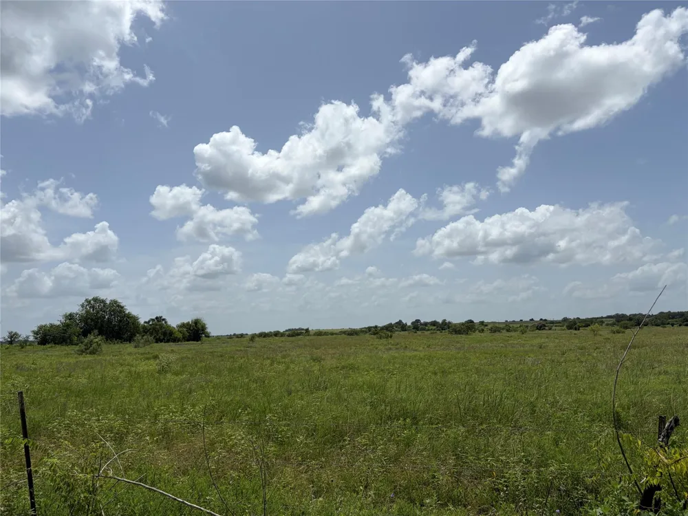 Witte Bellville, TX 77418