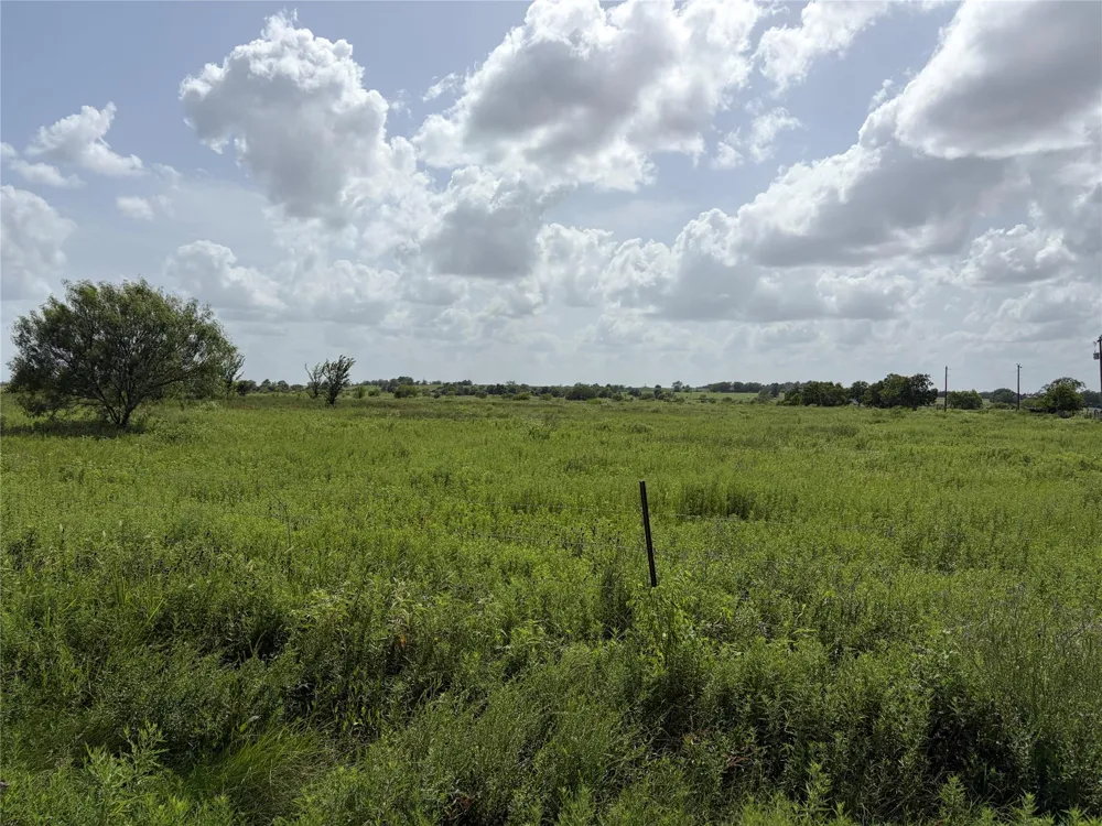 Witte Bellville, TX 77418