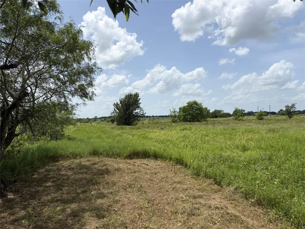 Witte Bellville, TX 77418
