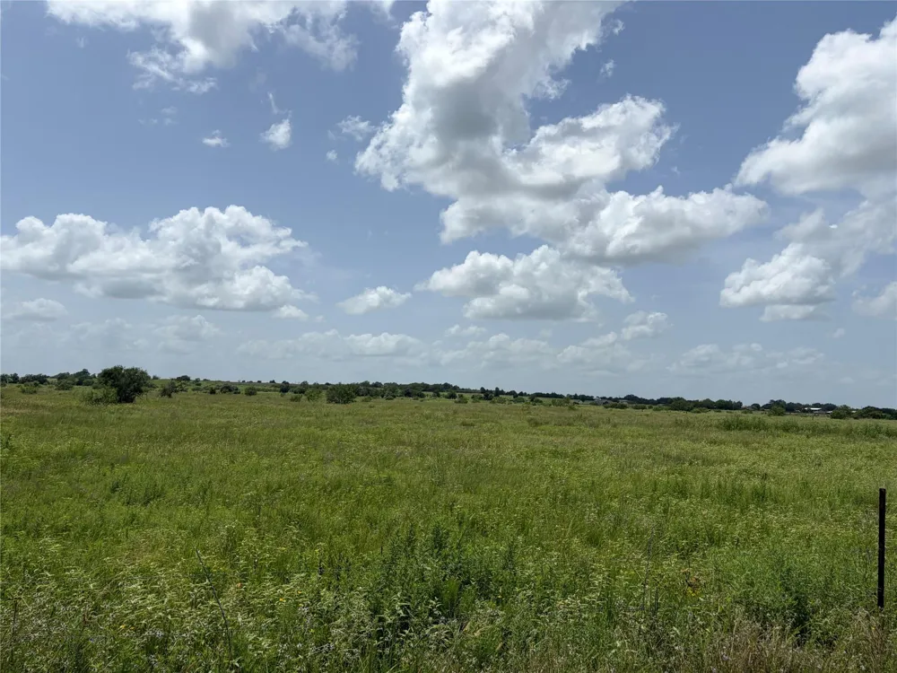 Witte Bellville, TX 77418