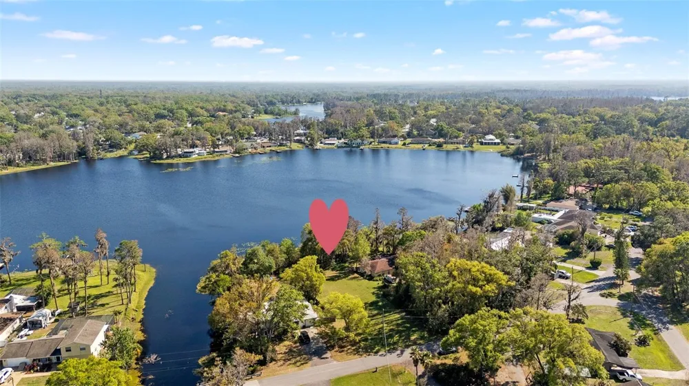 18703.5 LAKESHORE DR Lutz, FL 33549