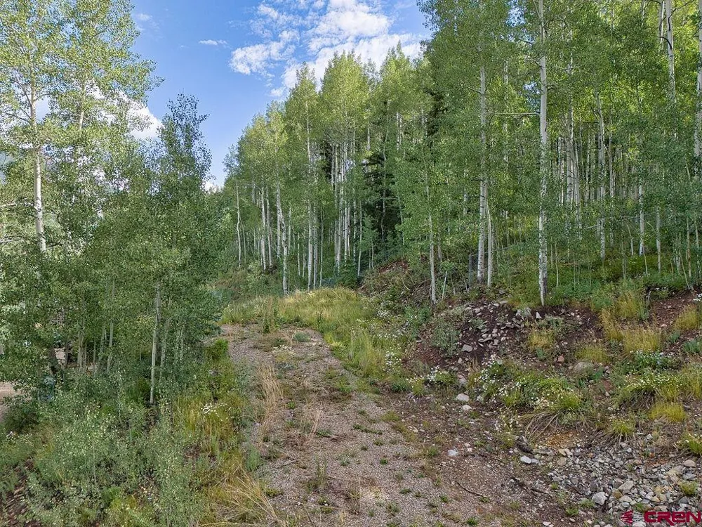 216 S Commercial Street Rico, CO 81332