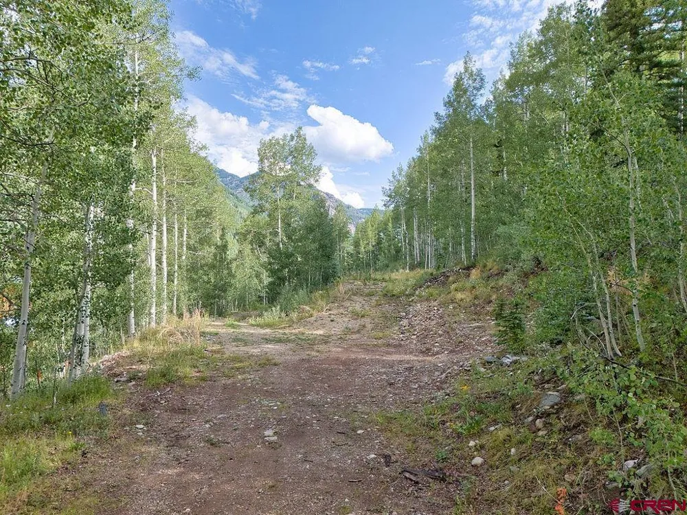 216 S Commercial Street Rico, CO 81332