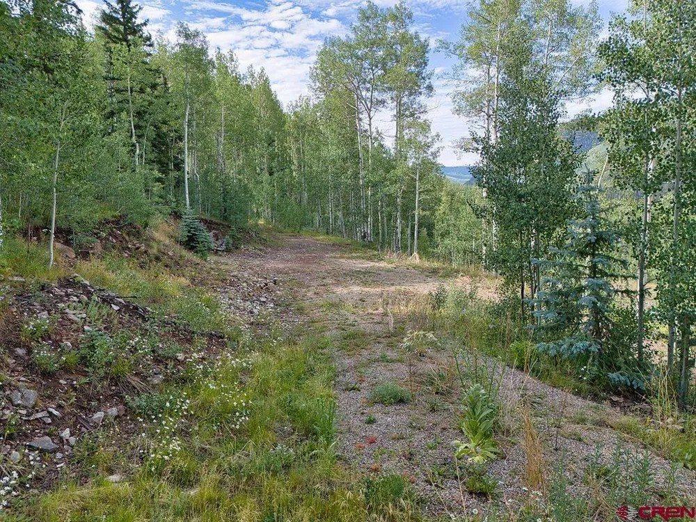 216 S Commercial Street Rico, CO 81332