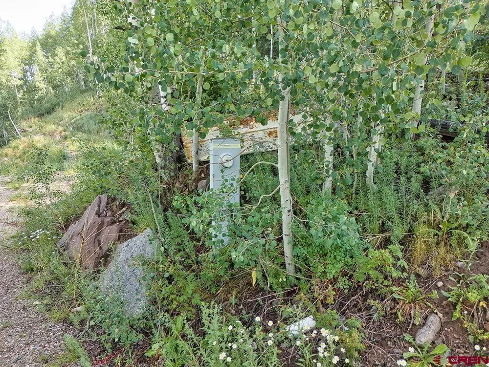 216 S Commercial Street Rico, CO 81332