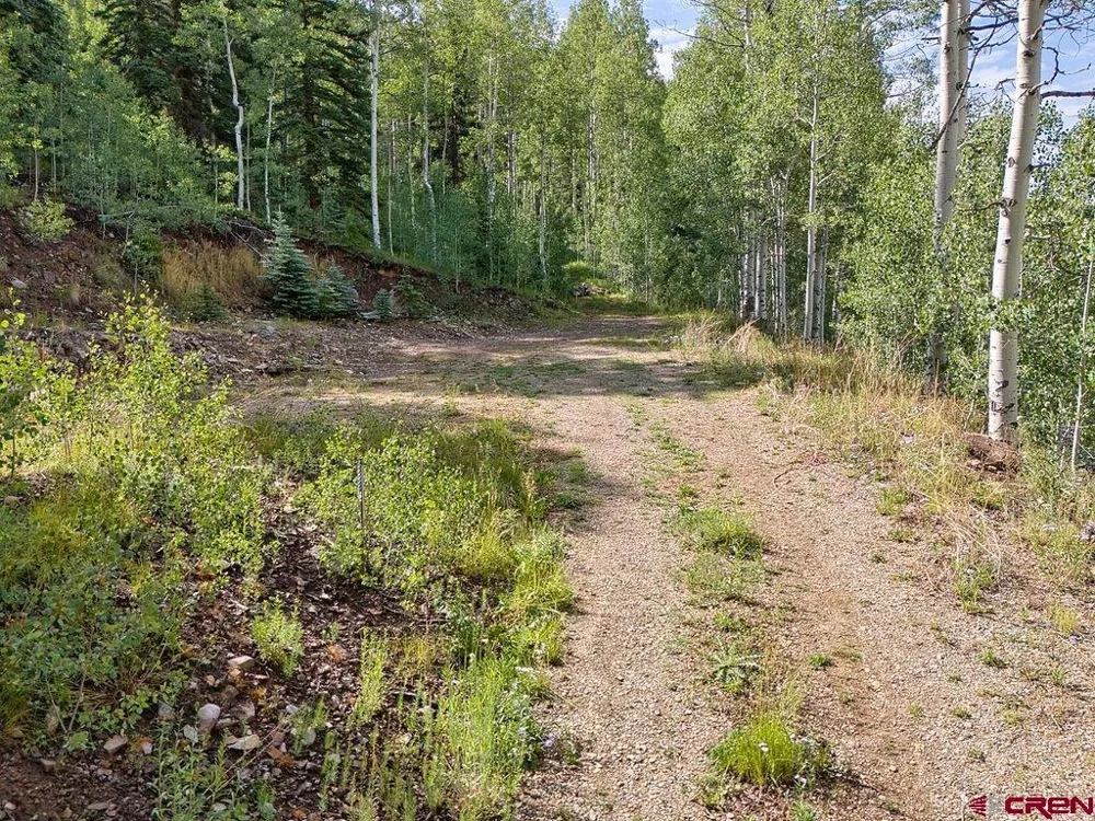 216 S Commercial Street Rico, CO 81332