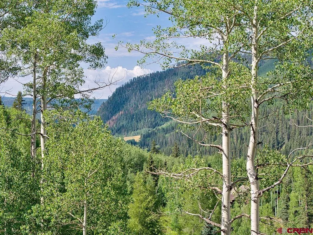 216 S Commercial Street Rico, CO 81332