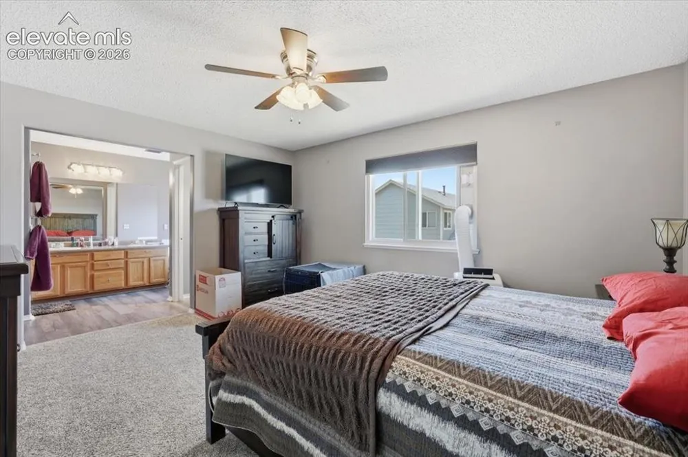 9310 Cormorant Drive Fountain, CO 80817